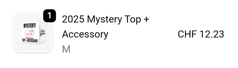 the 2025 mystery top + accessory bundle i ordered off the porter robinson website