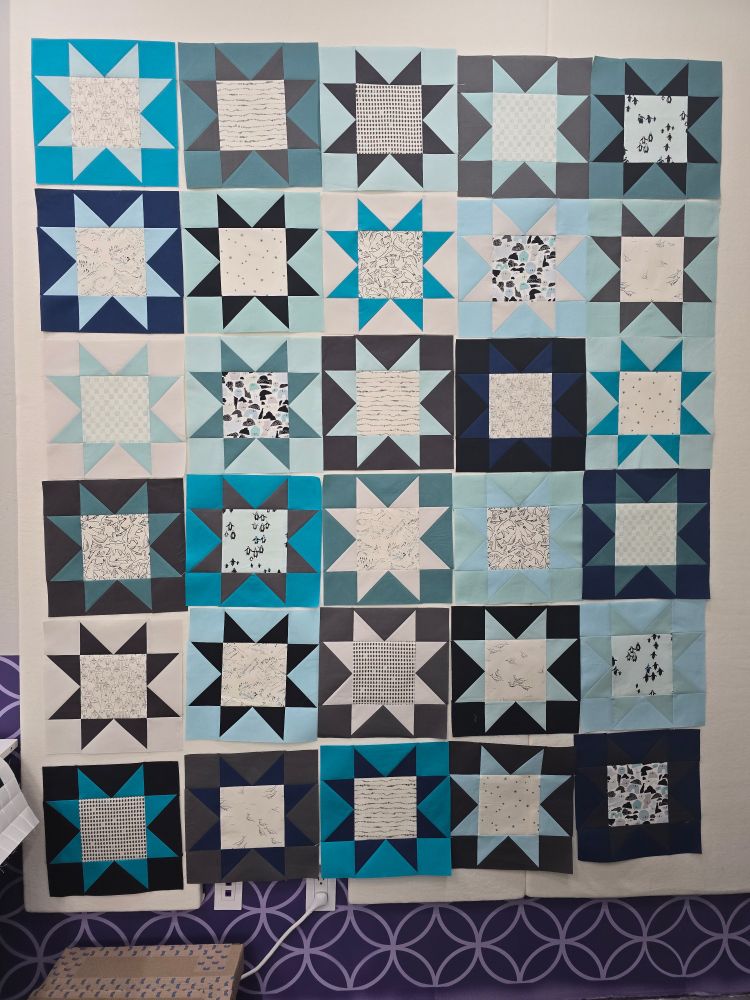 A quilt hanging on a wall, composed of 30 star-patterned blocks in shades of blue, gray, and white.