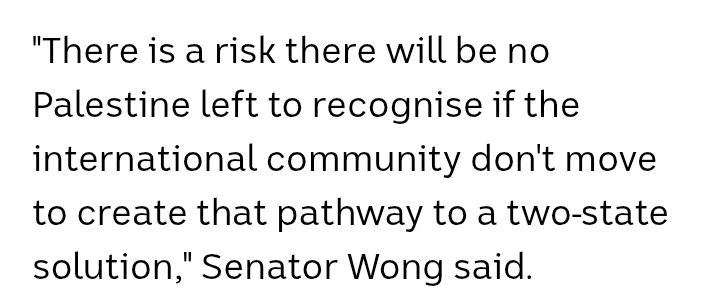 Wong quote no Palestine left risk