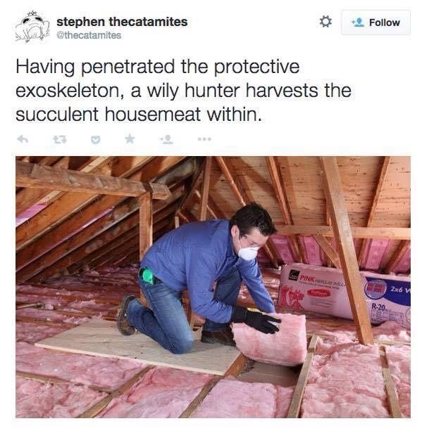 A man puts down pink insulation in an attic, but looks like he's picking it up