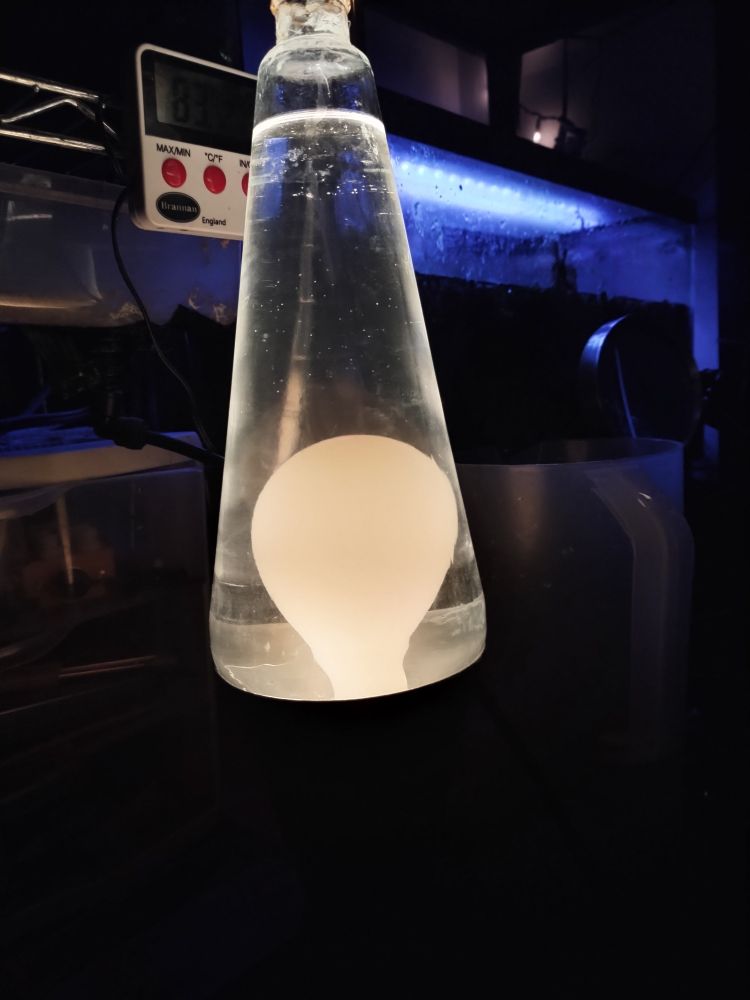 Lava lamp with blob of wax just barely off the bottom. 