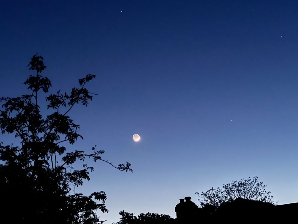 Late evening tones of blue sky with the moon showing and the silhouette of some bushes 
