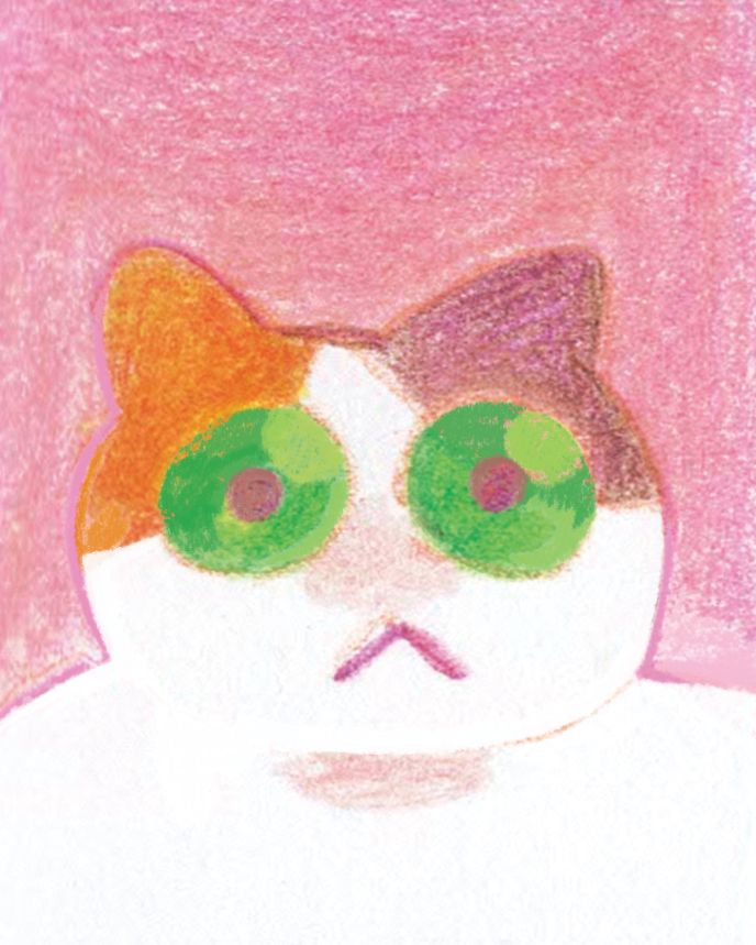 Dessin au crayon de couleur : une chatte isabelle aux yeux verts écarquillés
