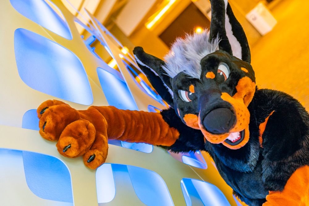 Doberdog, Dallas Reunion Hyatt 