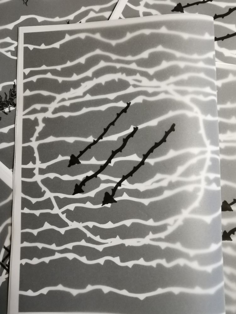 Photo du dos du zine avec sur le papier calque 3 flèches en ronces