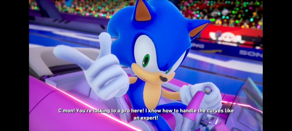 Sonic: C'mon! You're talking to a pro here! I know how to handle the curves like an expert!