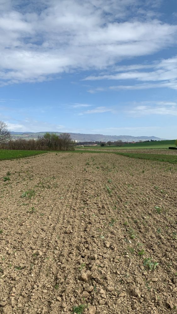 Freshly disked field with the Jura mountains in the background. Some clouds in the sky