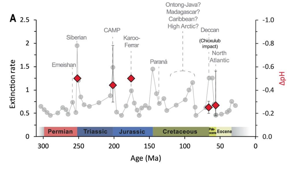 Graph showing extinction rate over the past 300 million years and current pH reconstructions. Mass extinctions are consistently associated with ocean acidification. 