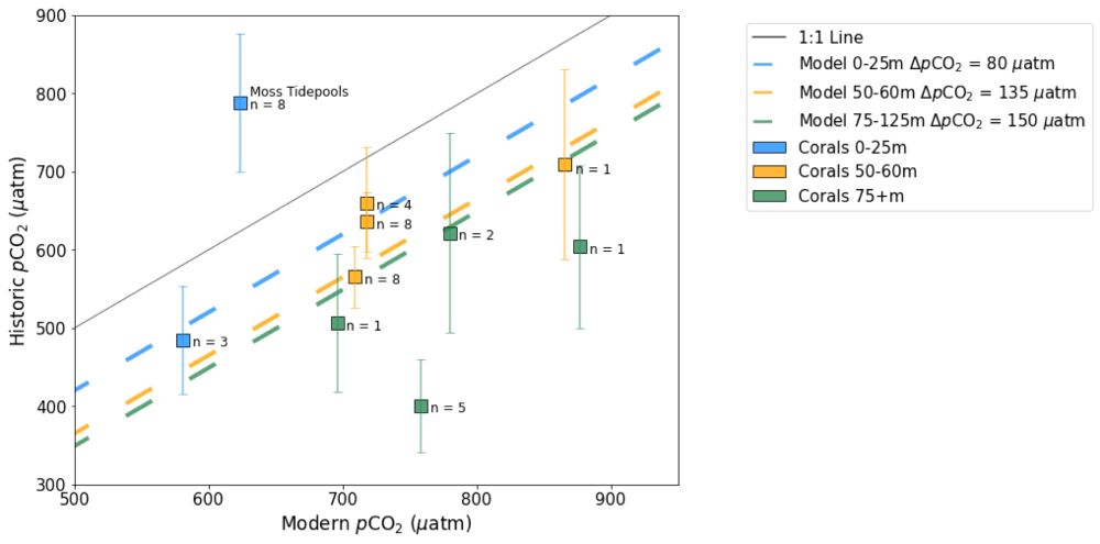 Fossil coral boron isotope data used to reconstruct California Current pCO2.  In a non-acidifying ocean, the data should fall on the grey 1:1 line.  Instead they fall below, indicating an acidifying ocean, and show greater acidification at greater depths (symbol colour), consistent with model simulations (dashed lines) - a phenomenon explained on the next figure! 