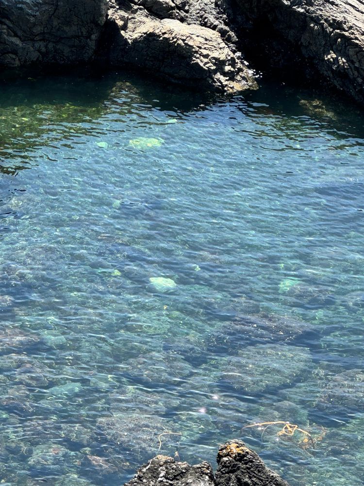 Clear water and rocks at the bottom of the water 