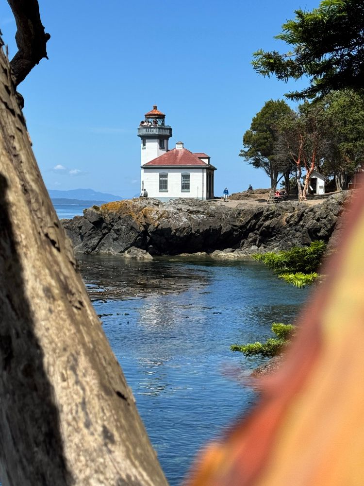 A lighthouse seen thru a madrona tree.