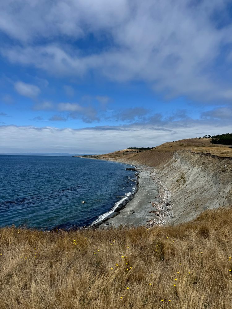 Bright blue skies, white clouds in the distance, from on top of a hill overlooking the water 