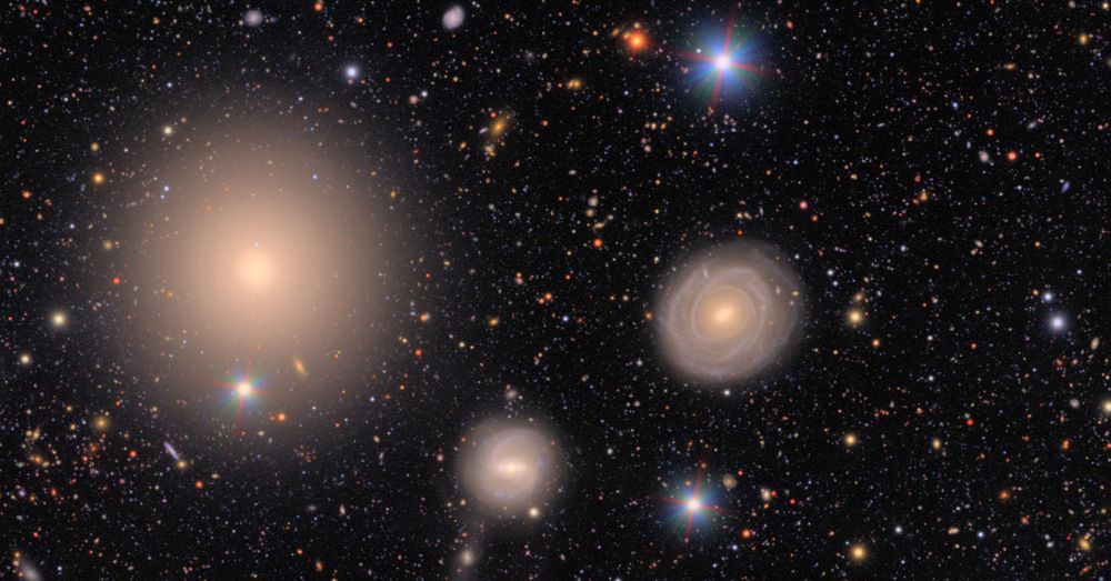 A field of galaxies of many shapes, sizes and colors, as well as the bright multi-colored points of stars. At left is a large elliptical galaxy, smooth like a polished stone. At right lies a large spiral galaxy that is nearly a ring, with bright golden core. To its lower left is a smaller spiral with a barred core. At top and bottom, two bright stars shine brightly with multi-colored diffraction spikes emanating out. In the background, hundreds of galaxies are just smudges of various colors.