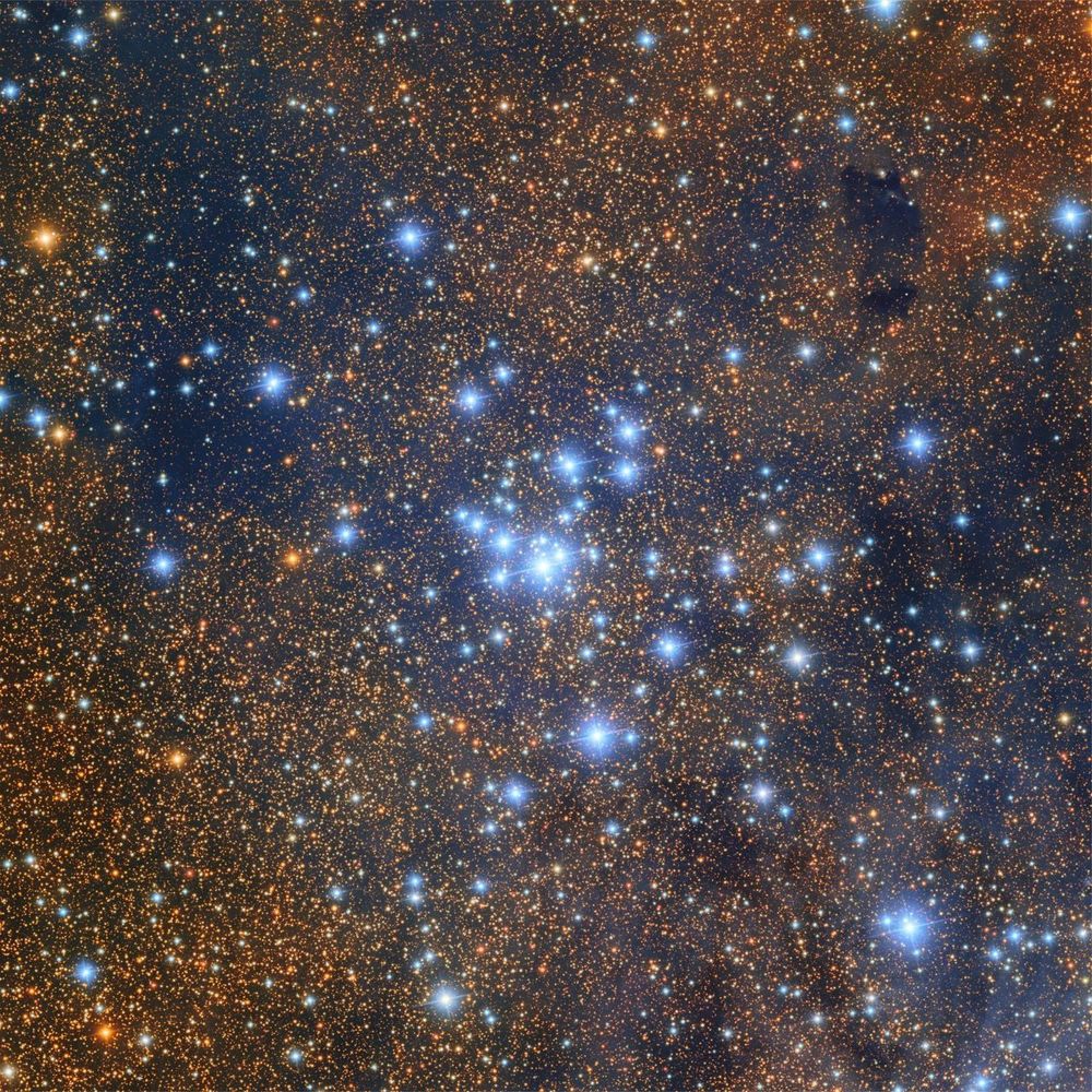 Dense cluster of bright blue stars shining like beacons against wispy nebula cloud of orange and blue. The background is filled with countless smaller stars.