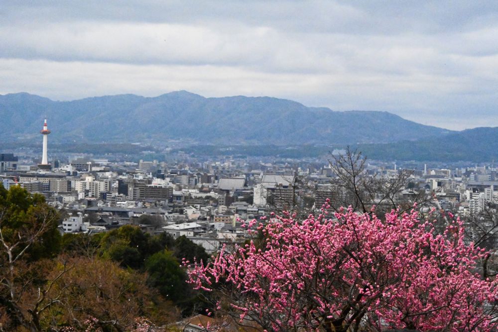 Landscape view