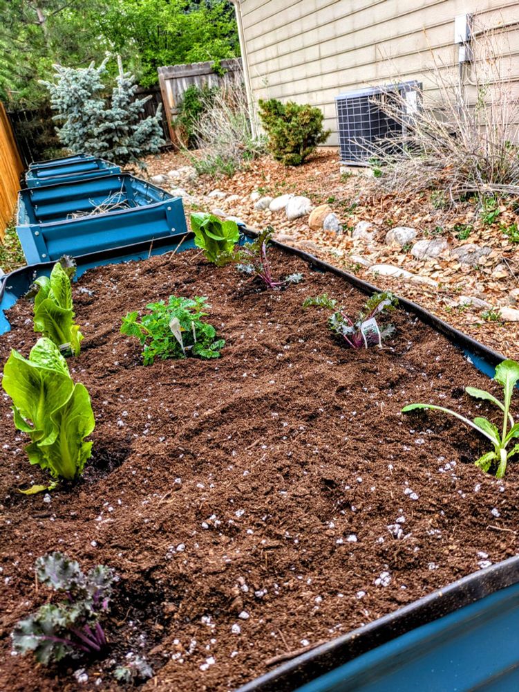 Raised garden bed 