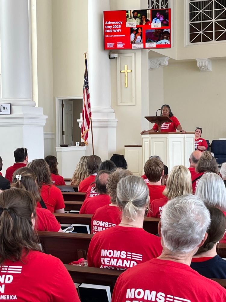 Illinois Moms Demand Action volunteers in Springfield for Advocacy Day