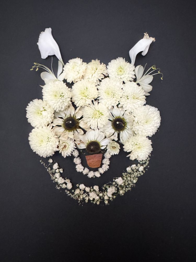 Poodle made from daisies. 

Botanical art depicting a playful poodle’s face, creatively arranged using white flowers and petals on a dark background. Rounded blossoms mimic the curly fur, while darker-centered flowers form expressive eyes. Small flowers and petals shape the smiling mouth and perky ears, bringing the charming dog to life.
