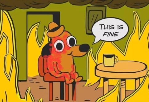 This is Fine Dog covered in hives lol