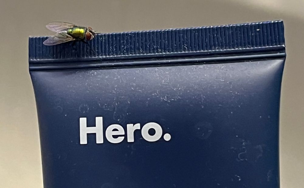 A house fly is perched on a bottle of face mask, which happens to be labeled “Hero.” It is possible the fly can read and felt drawn to the text. No one can ever know for certain. 