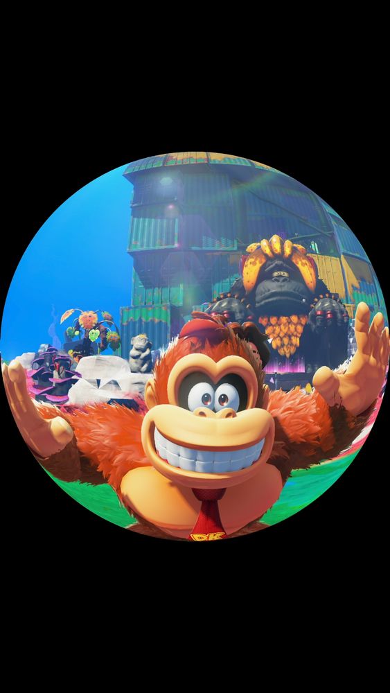 A fisheye view of DK grinning as he prepares to grab something