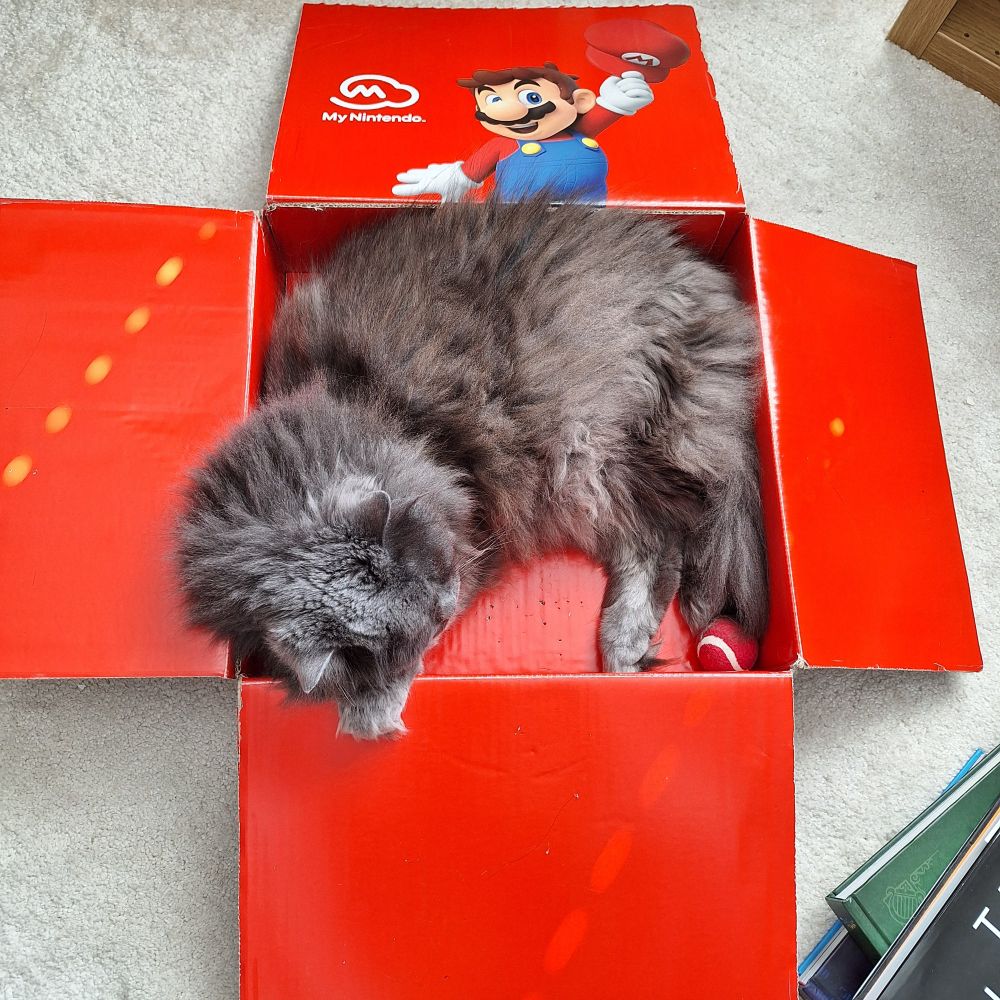 A fluffy grey cat sleeps in a red Nintendo box with a picture of Mario on it waving his cap