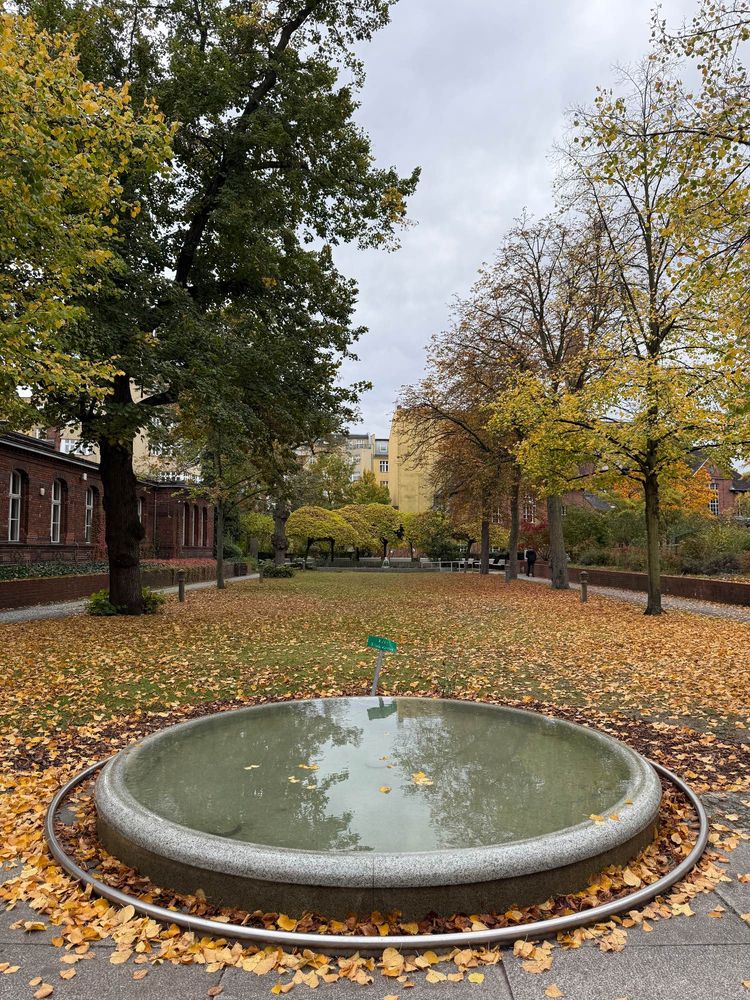Fotografiert über einen kleinen ebenerdigen Brunnen hinweg. Im Wasser spiegelt sich der Himmel und die Bäume. Hinter dem Brunnen eine Wiese mit Bäumen und Steinweg zu beiden Seiten. Auf der Wiese und um den Brunnen rum liegt gelbes Laub. Der Himmel ist weiß. 