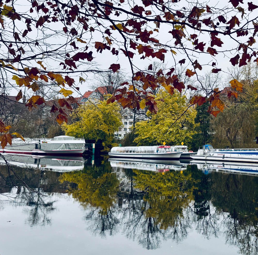 Blick über einen Fluss zum anderen Ufer. Dort liegen drei Ausflugsdampfer, die winterfest gemacht wurden. Dahinter stehen Bäume mit herbstlichen Blättern. Dampfer und Bäume spiegeln sich im Wasser. Im Vordergrund ragt von links ein Ast mit bräunlich gefärbten Blättern ins Bild. Der Himmel ist weiß. 