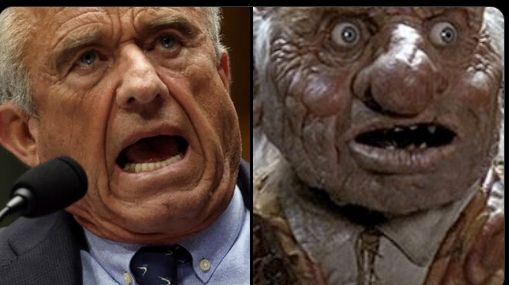 a picture of RFK junior on the left and Hoggle from Fraggle Rock on the right - RFK looks like a panicking old man, hoggle is a goblin with a disgusting face that also looks like a panicking old man