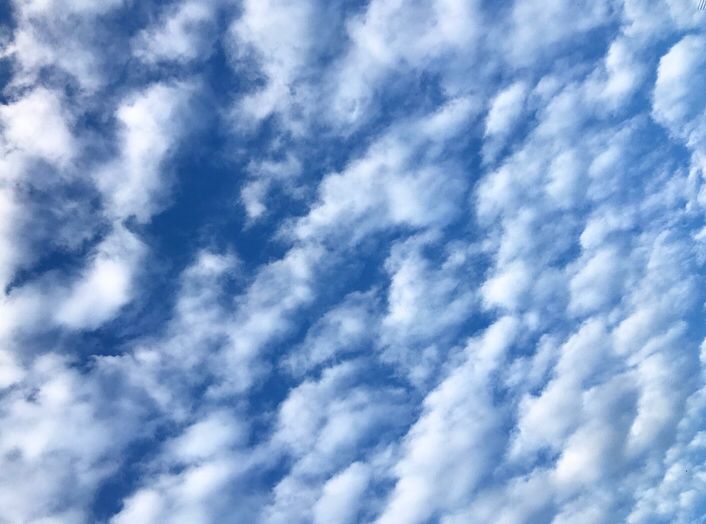 Blue sky filled with stippling white clouds. 