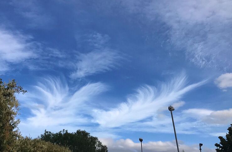 Picture is of a bright blue sky with wispy white clouds teased out looking like downy feathers.