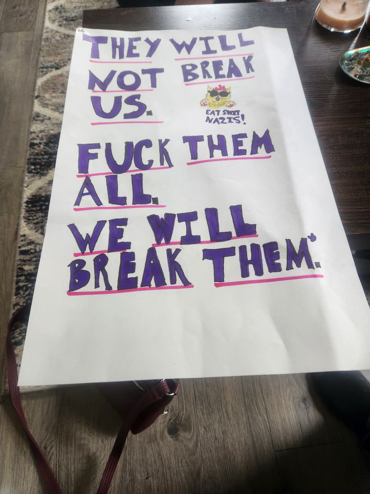 A protest sign with a message that states, "They will not break us. Fuck them all. We will break them." In purple text with the words underlined in pink. A small yellow cat with a pink crown is lunging with the words "Eat shit, Nazis!" Underneath. 