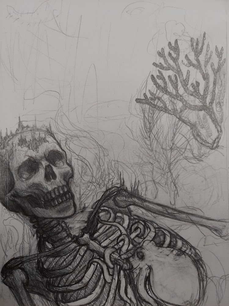 A sketch in pencil, still in progress. The sketch depicts a skeleton at the bottom of the sea, some algae on the stripped bones. The background features half finished plantlife and deep sea coral. In the skeleton's ribcage, an octopus shelters, twining it's tentacles between the ribs. 