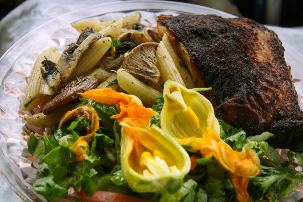 Smoked chicken, mushroom herb penne, and a squash blossom garden salad