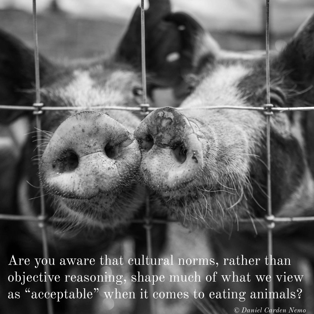 Are you aware that cultural norms, rather than objective reasoning, shape much of what we view as “acceptable” when it comes to eating animals?
