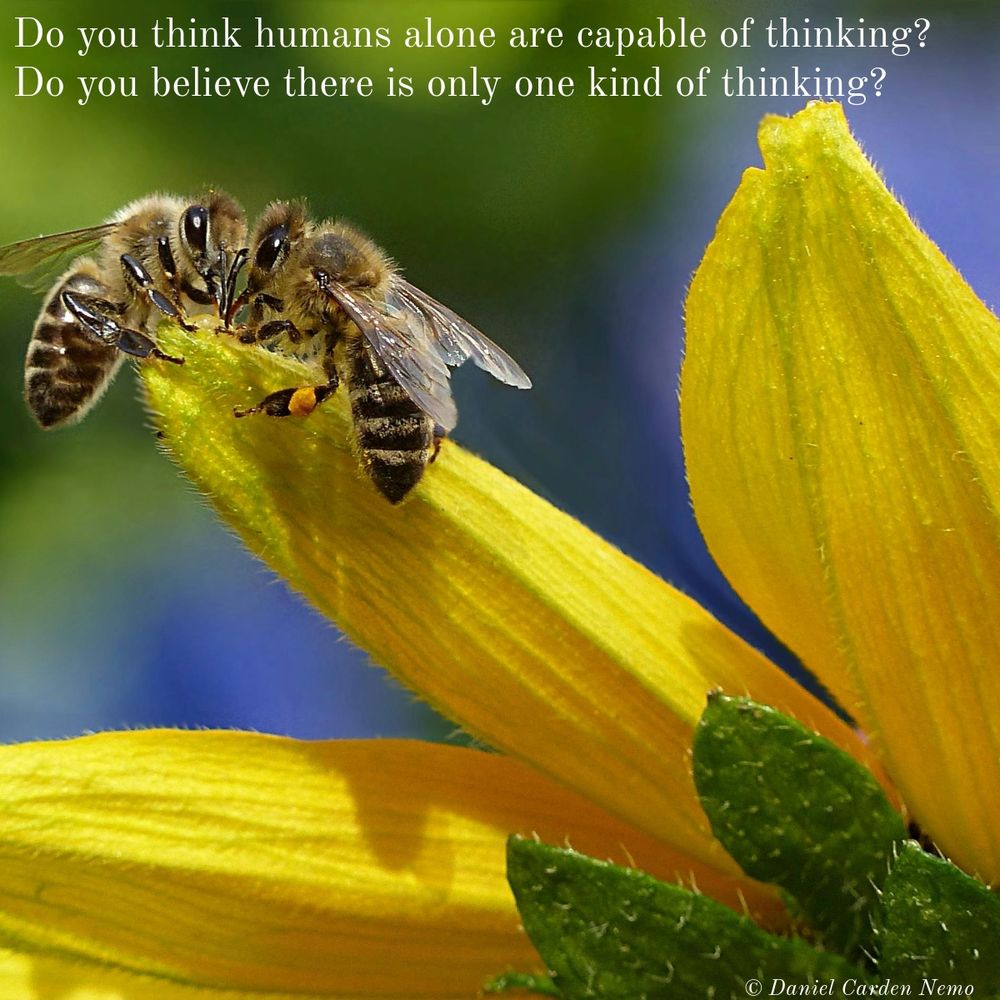 Do you think humans alone are capable of thinking? Do you believe there is only one kind of thinking?