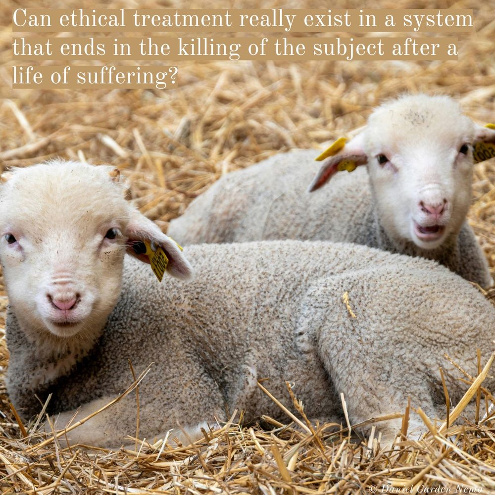 Can ethical treatment really exist in a system that ends in the killing of the subject after a life of suffering?