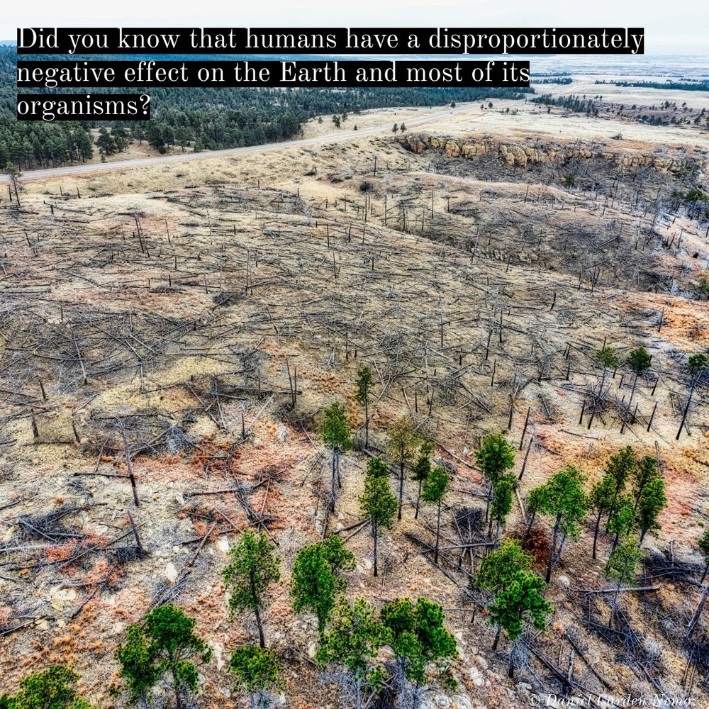 Did you know that humans have a disproportionately negative effect on the Earth and most of its organisms?