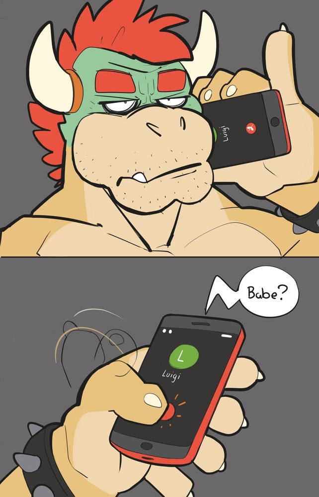 Bowser looks unamused. He then ends the call. 