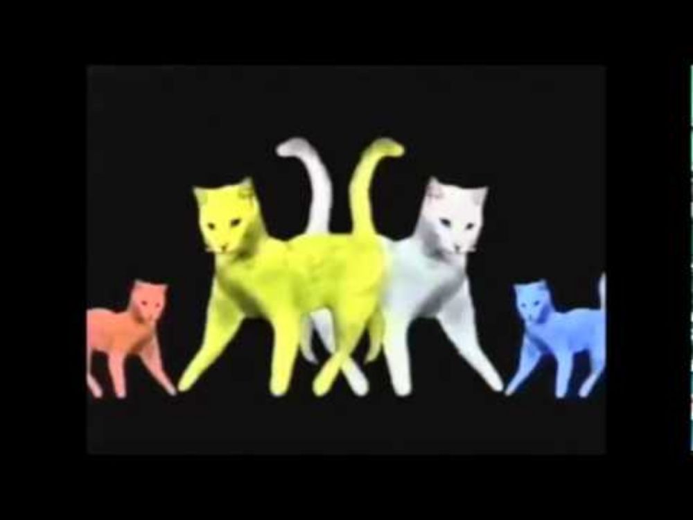 Purina Cat Chow Song Commercial