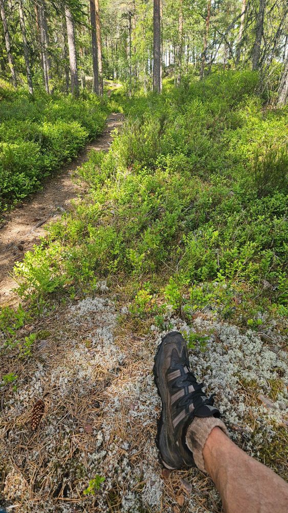 Adidas terrengsko og kule stier innbyr til jogging