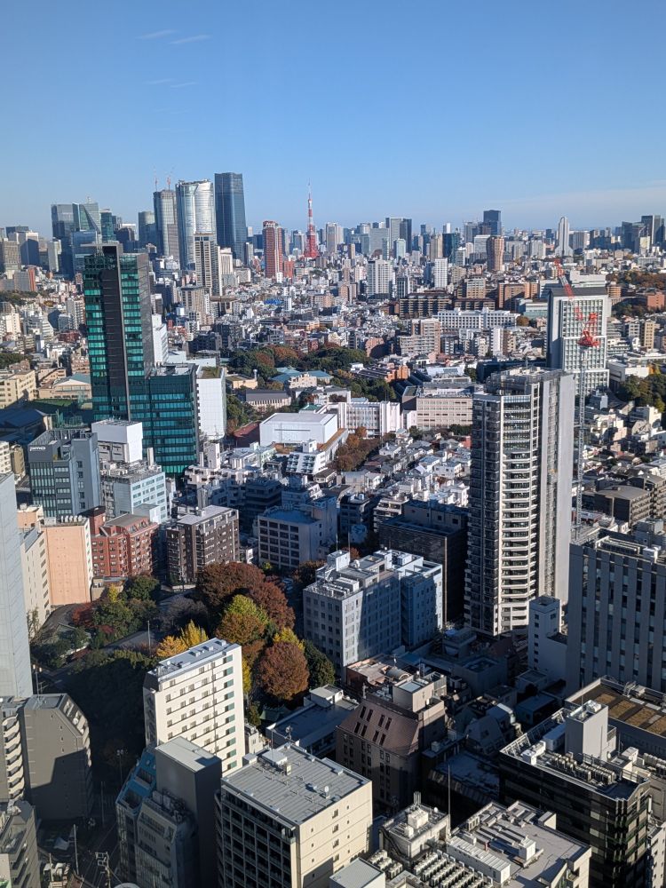 A picture of the Tokyo skyline taken from a tall building. You can see Mori tower in roppongi and Tokyo tower. Beautiful blue sky with no clouds in the sky.