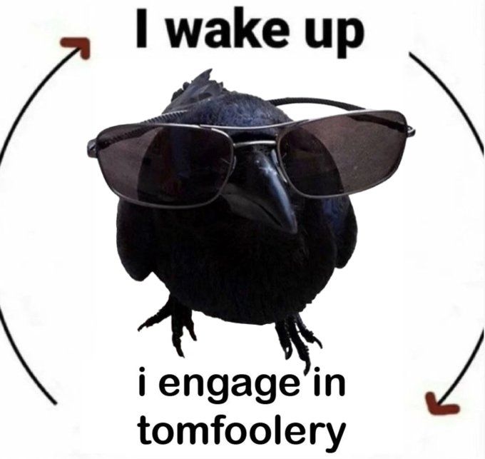 crow with sunglasses in the center, the words "I wake up" above it, "i engage in tomfoolery" below, with arrows indicating a constant circle between them