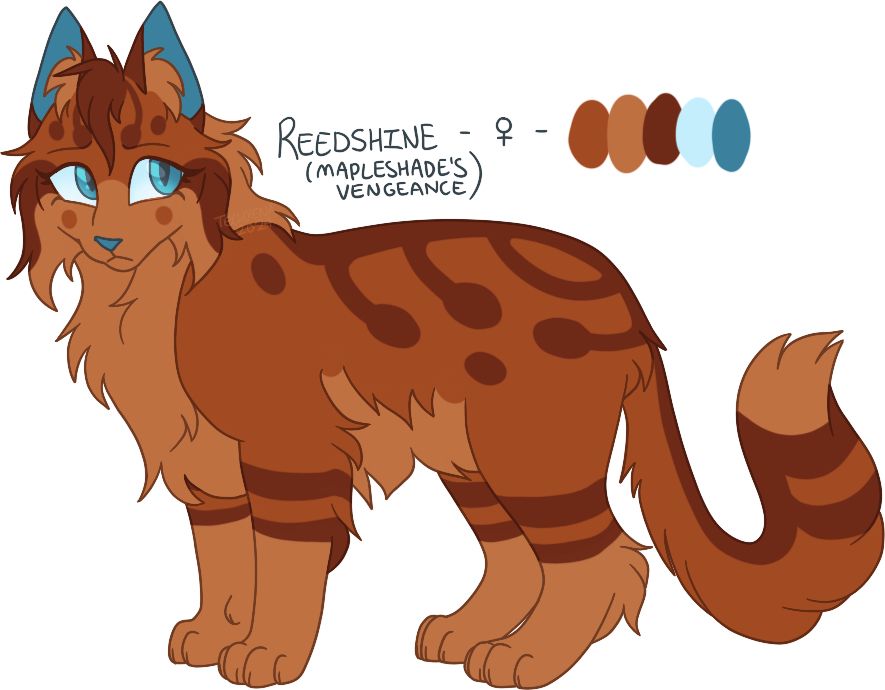 Design for the character “Reedshine” from Mapleshade’s Vengeance, Appledusk’s mate after Mapleshade.
She’s standing plainly and looking up to the right with a concerned expression.
Her fur is a dark orange, with light yellowish-orange countershading (belly, legs, face) and darker orange-reddish stripes that loosely resemble a cattail plant stalk. Her fur is droopy and wavy and she has bluish-teal eyes, as well as nose and inner ears.
