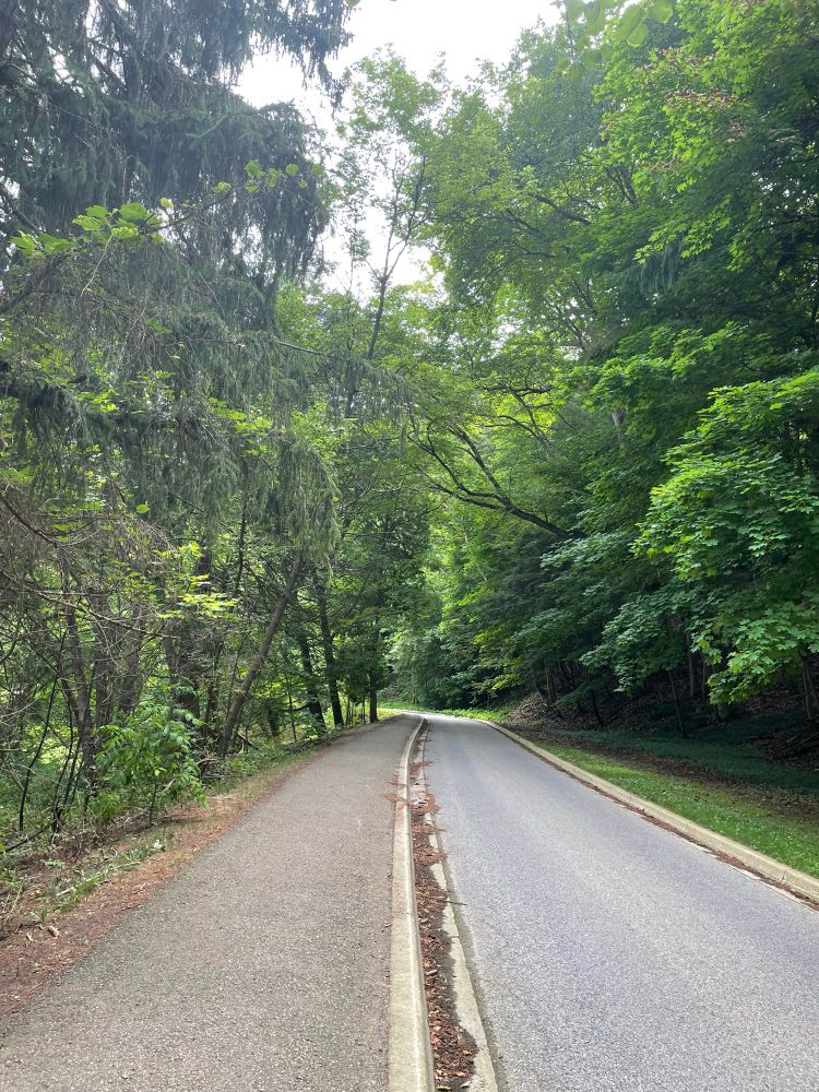 A shady walking path and road descend gently.