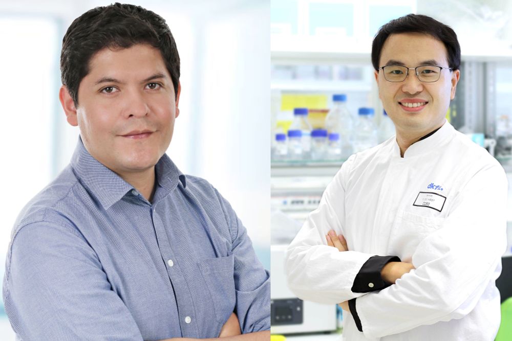 Fabricio Loayza-Puch (links) und Chong Sun
Bild: DKFZ/Jung