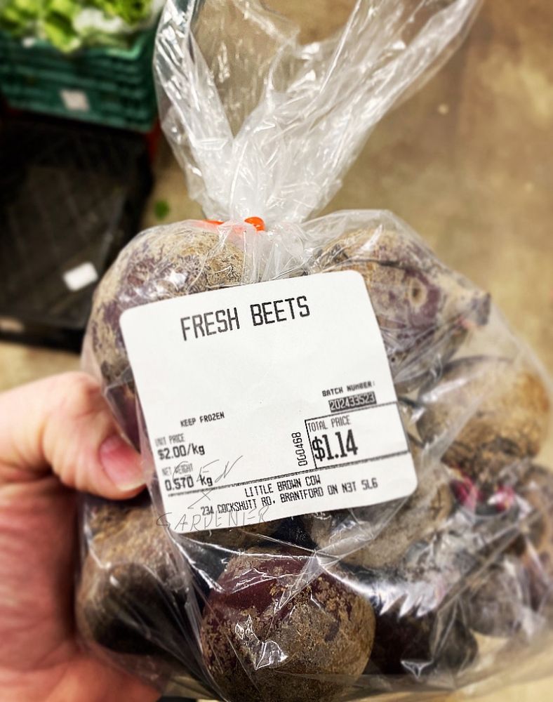 A photo of The GXG holding a bag of small red beets. The price is $2 per kilogram, and the price of this bag is $1.14. 