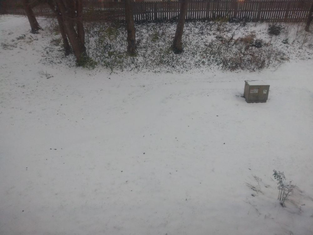 Initial dusting of snow, maybe an inch and a half to two inches, 7am 11/29/25
A small town just outside Des Moines, IA.