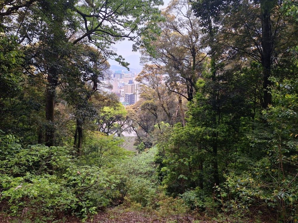 A small glimpse of city is visible through trees and undergrowth that frame the buildings