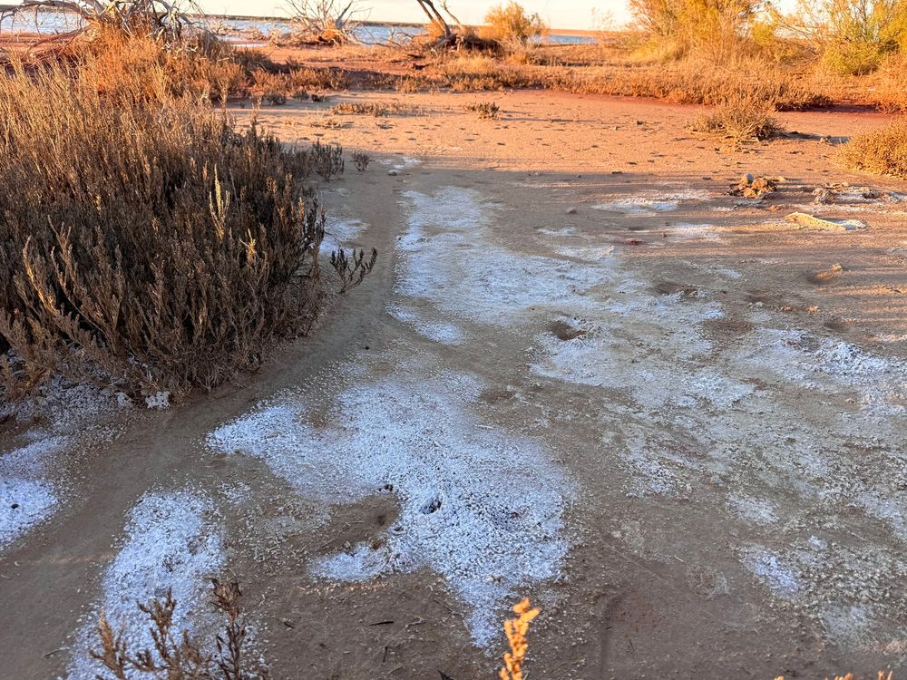 some salt deposits along the shore of the brine lake, where highly saline lake water has evaporated to leave behind the salt 